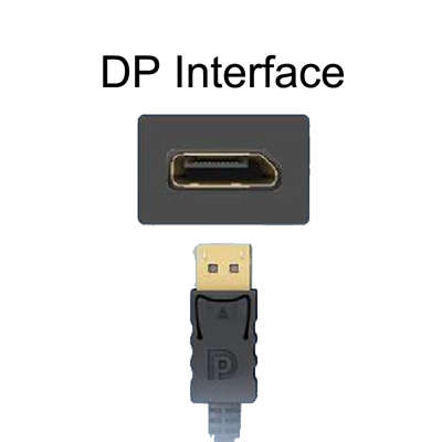 DP Interface
