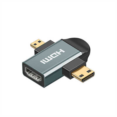 2-in-1 Micro HDMI & Mini HDMI to HDMI Adapter